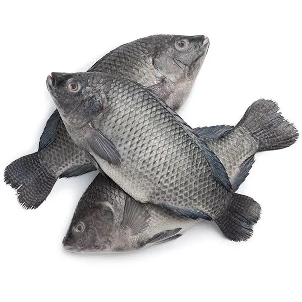 Tilapia G&S 3/5 (Danish) 2×2 kg