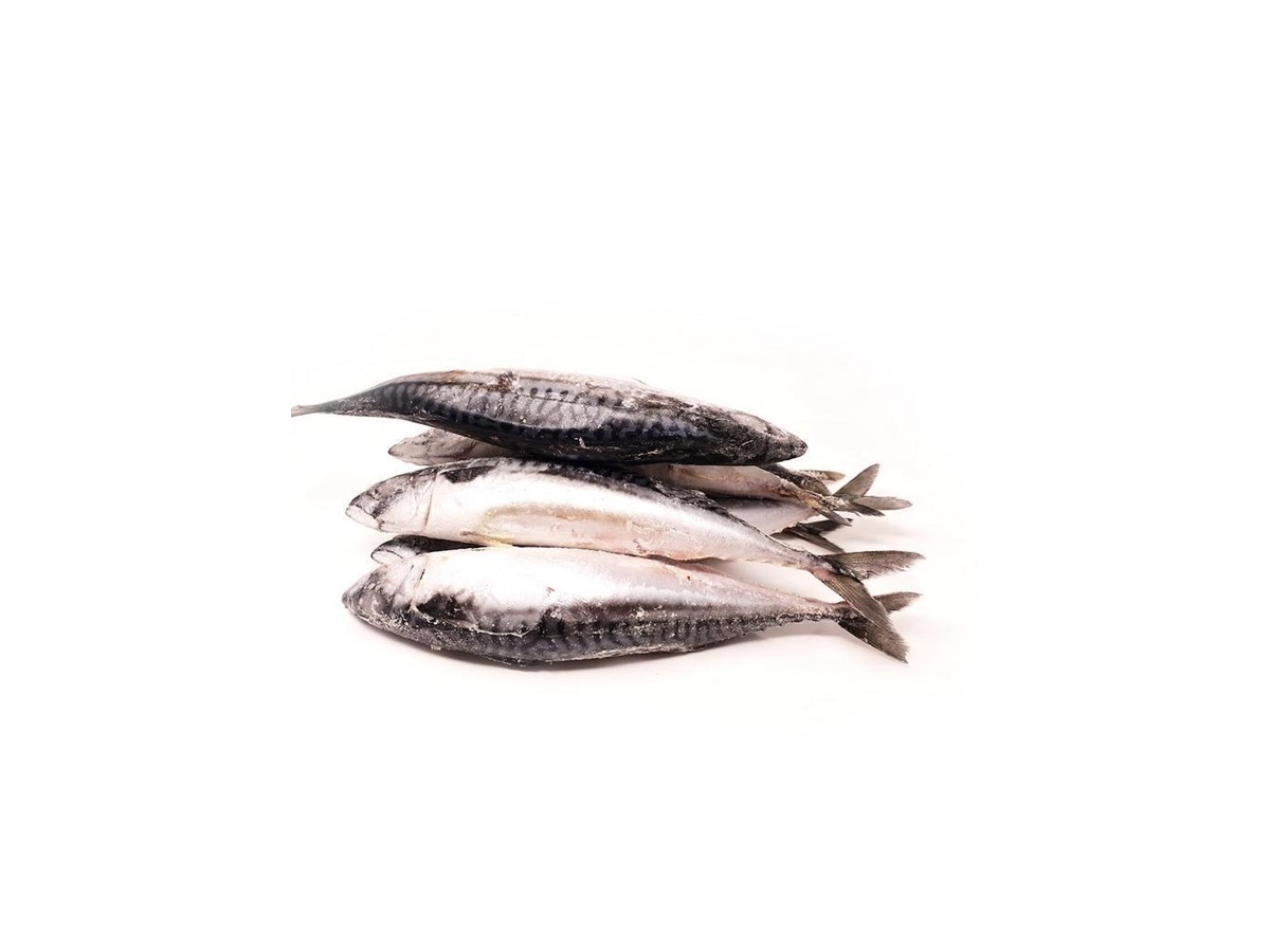 Whole Mackerel WR 300-500 g 20 kg