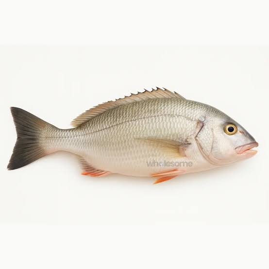 Dathi Fish 10 kg IWP