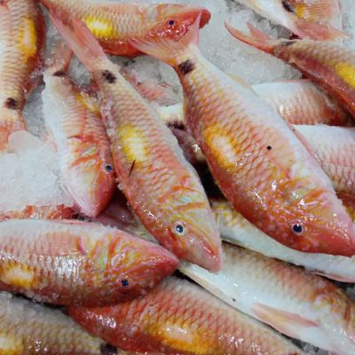 Red Mullet WR 10×1 kg 200-300 g