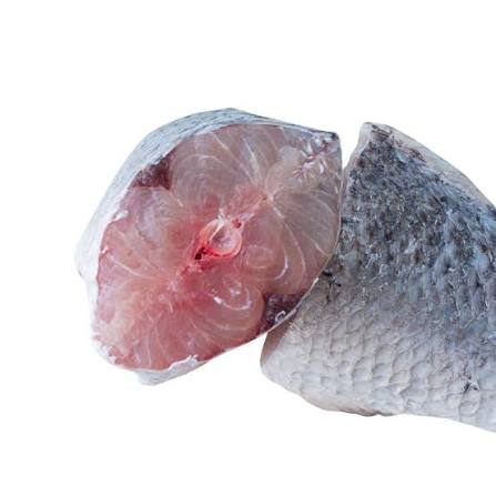 Barracuda Steak 8×1 kg