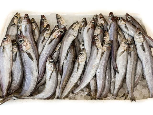 Blue Whiting 10 kg IQF