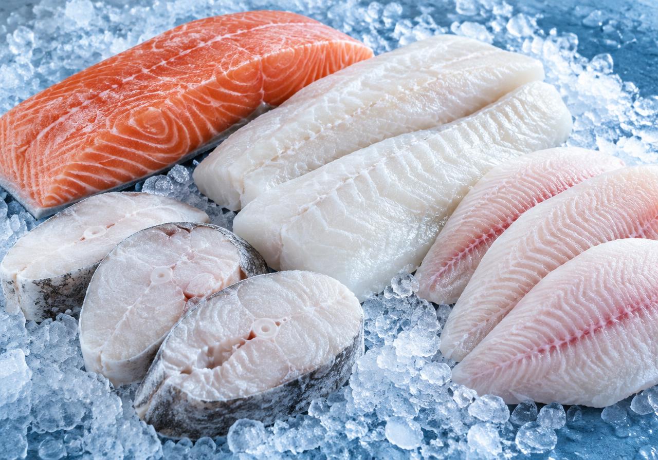 Frozen Fillets & Steaks